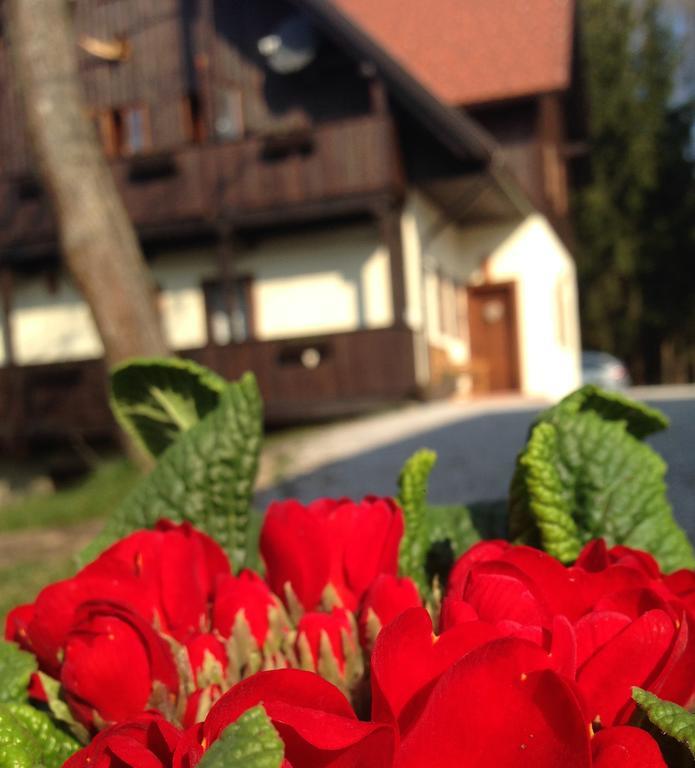 Pomona Relaxing Nature Guest House Rogaška Slatina Exteriör bild