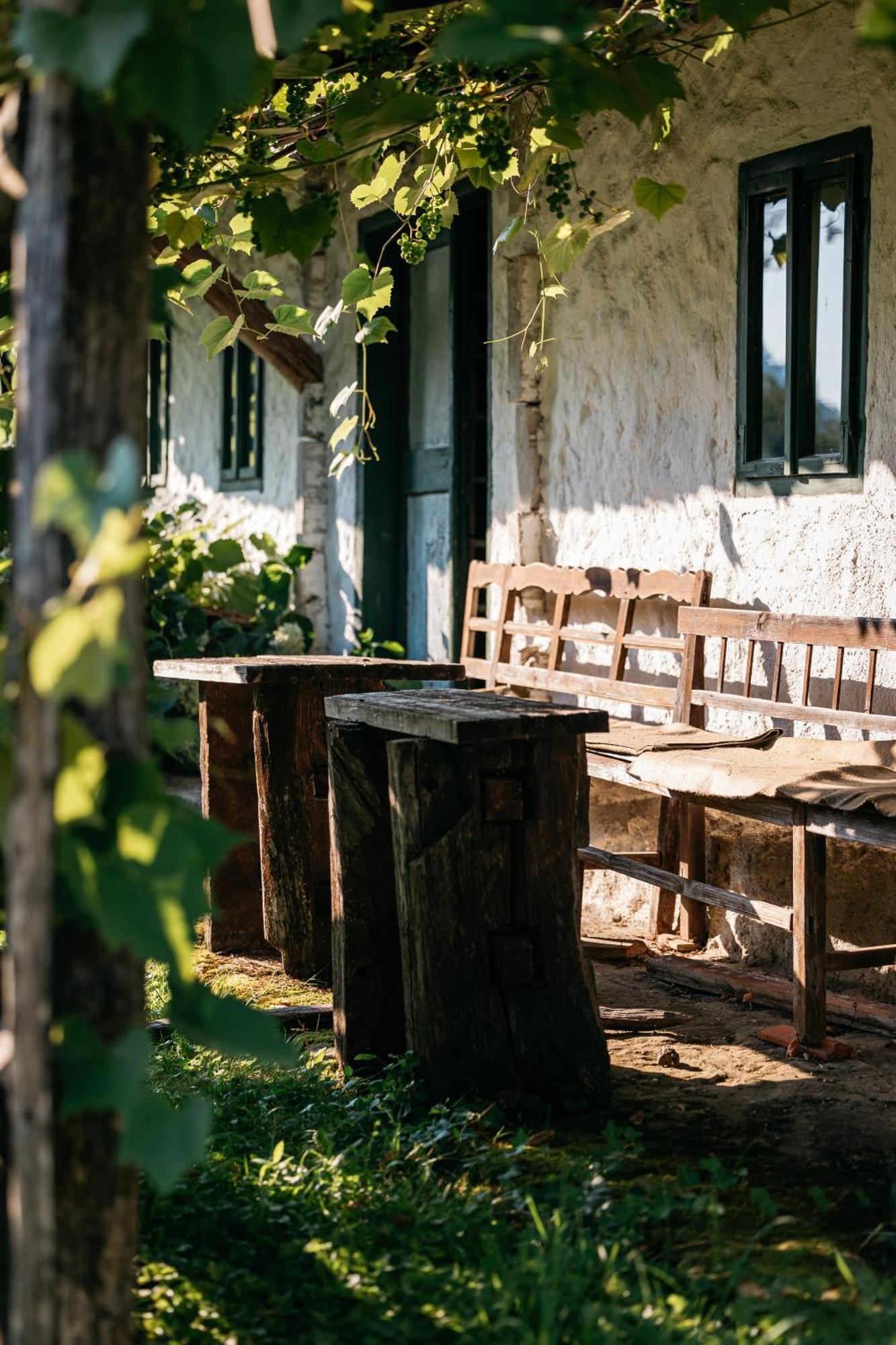 Pomona Relaxing Nature Guest House Rogaška Slatina Exteriör bild