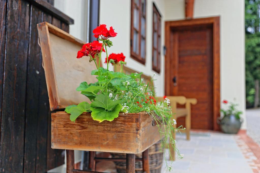 Pomona Relaxing Nature Guest House Rogaška Slatina Exteriör bild