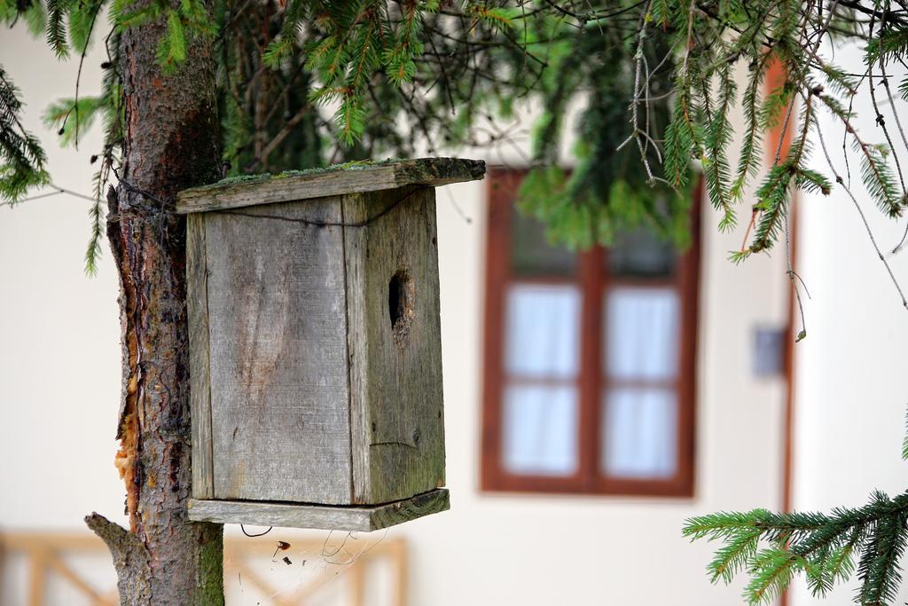 Pomona Relaxing Nature Guest House Rogaška Slatina Exteriör bild